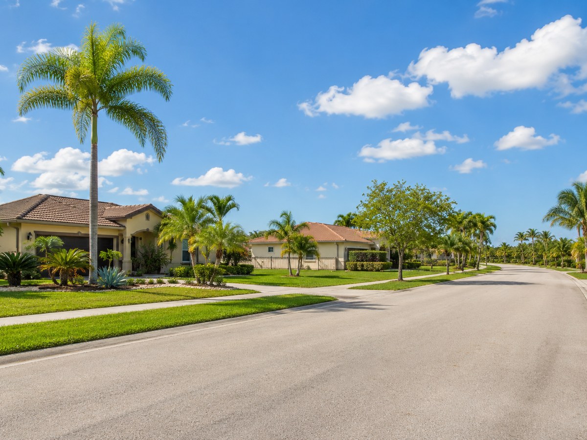 Barrio residencial Homestead con viviendas unifamiliares, palmeras y calles suburbanas soleadas
